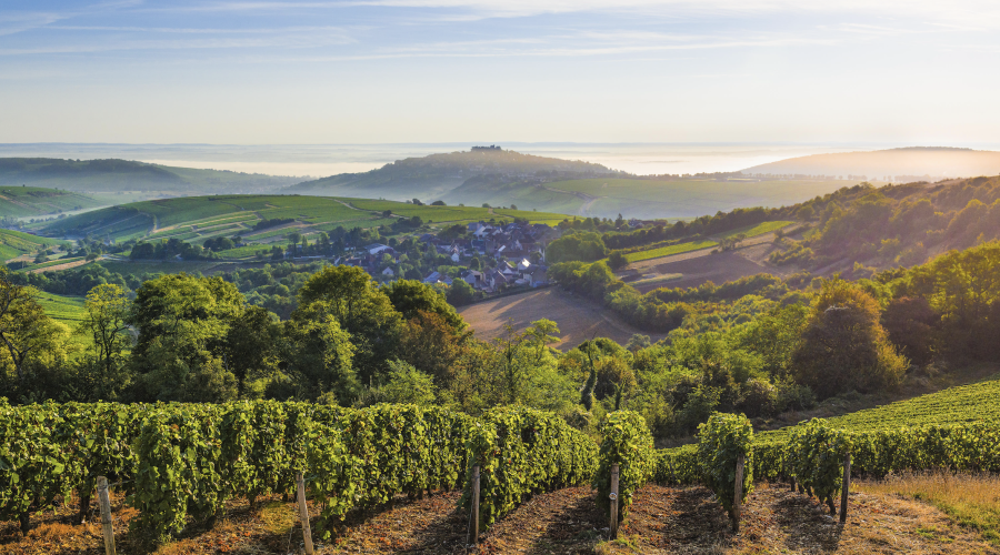 Sancerre